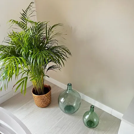 Apartamento Truman Rianjo
